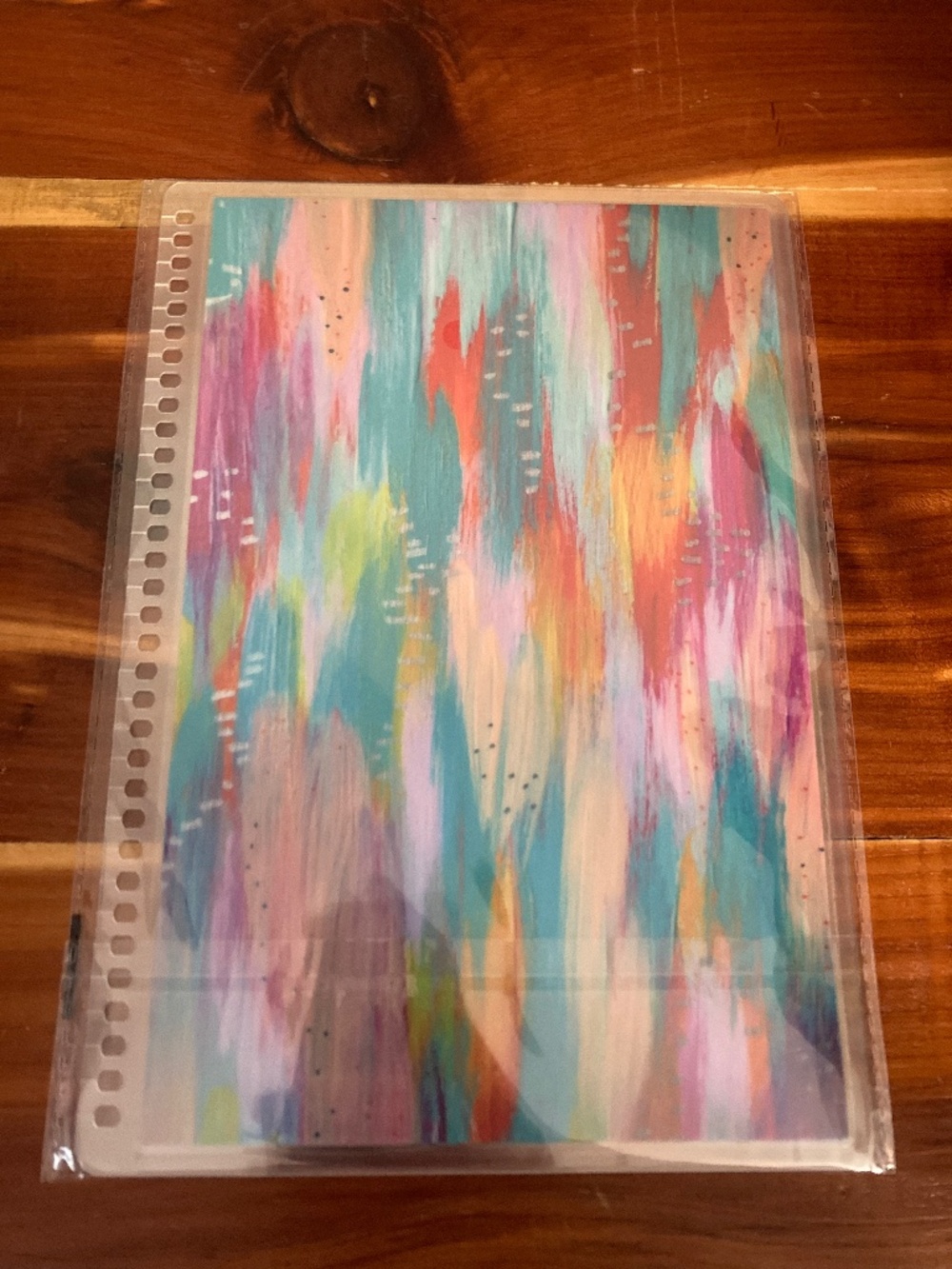 NEW Erin Condren 7x9 Etta Vee Interchangeable Cover